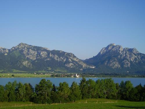 forggenseberge0