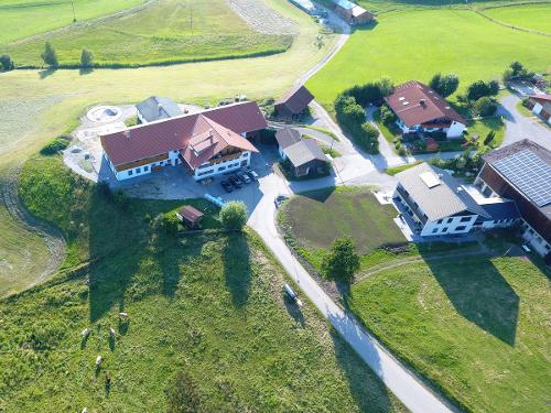 DJI_0036 1 DJI_0036 1