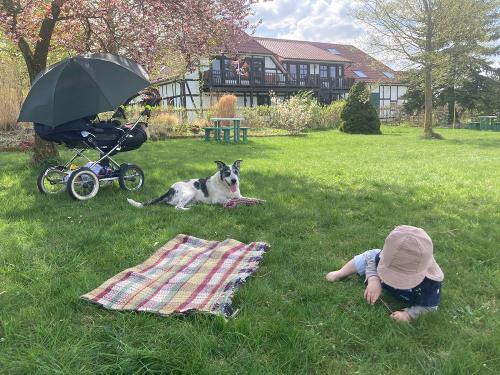 Spiel- und Picknickwiese