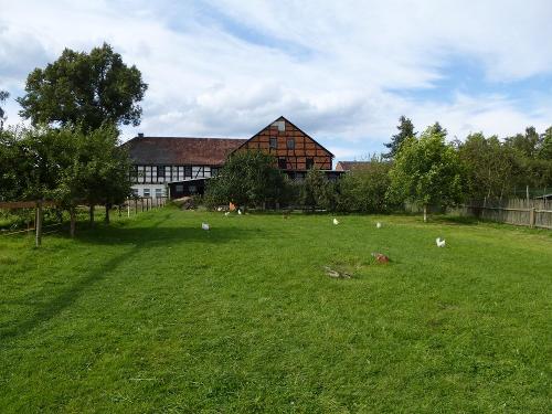 Haus- Rückseite