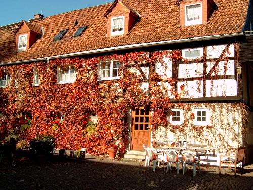 Im Herbst