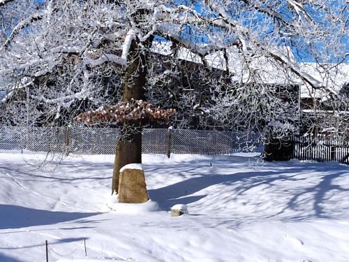 Winter 2020 Winter 2020