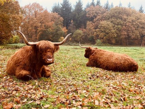 Dörthe und Denna Landreise