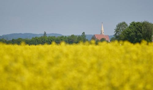 Ausblick auf Neuötting