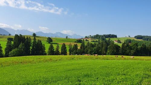 landschaft