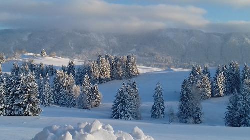 Wintertraum