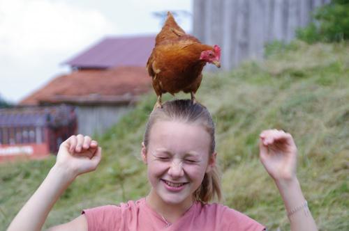 Huhn