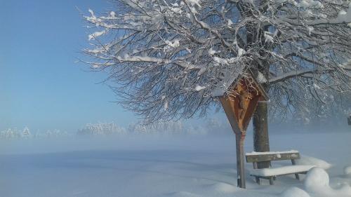 Wintertraum