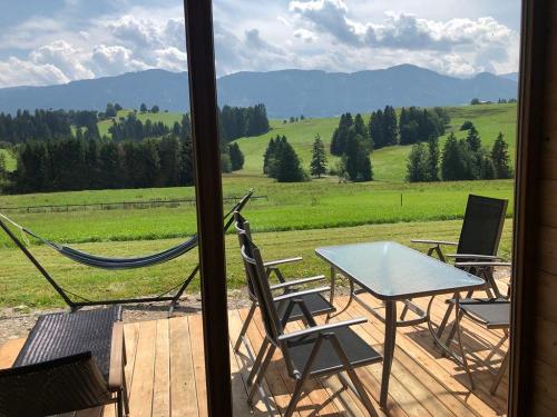 Blick aus Wohnzimmer zur Terasse und Panorama