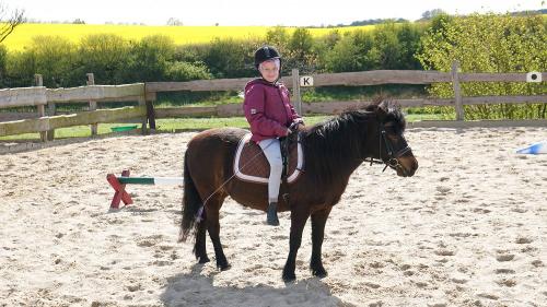 Fewo An Der Au - Ponyreiten