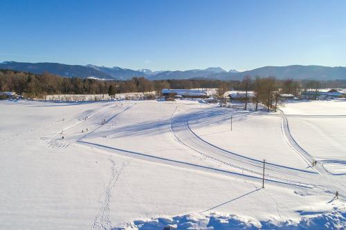 Winterbild