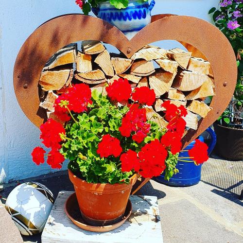 blumenmitherz
