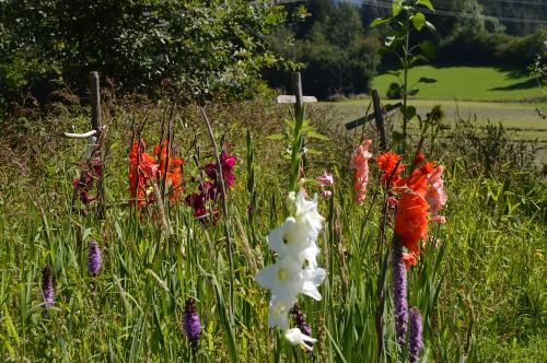 1 Unser Garten