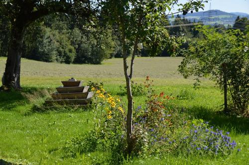 Unser Garten