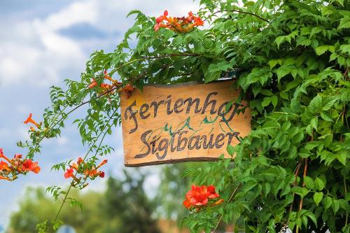 Ferienhof Siglbauer 4 FeWo Laufen