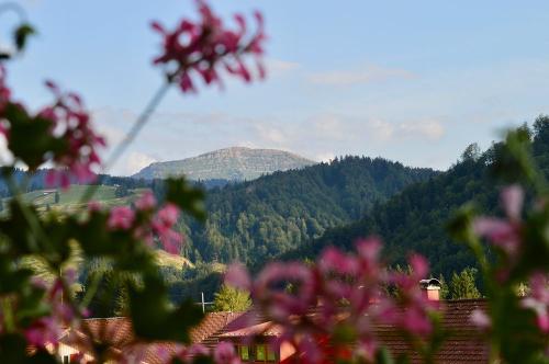 Welch ein Ausblick