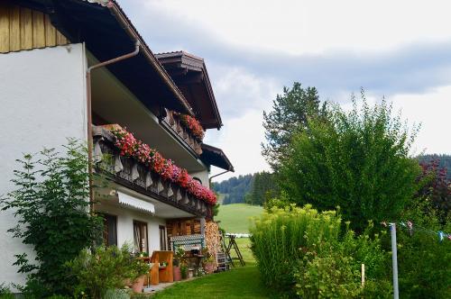Bei uns im Sommer