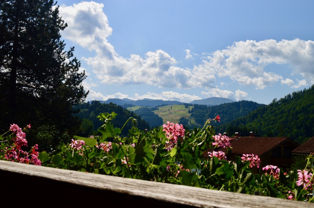 Ausblick vom Balkon
