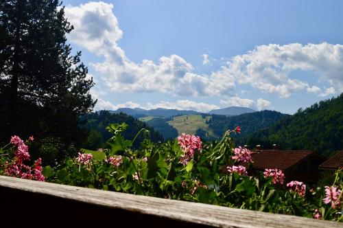 Ausblick vom Balkon