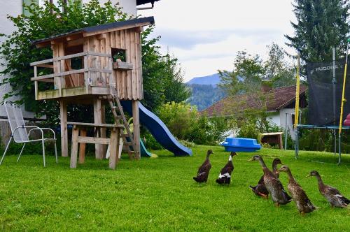 Unsere Enten
