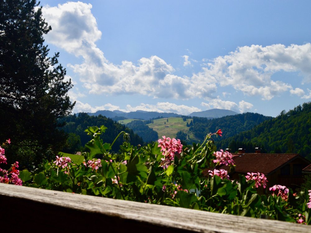 Ausblick vom Balkon Ausblick vom Balkon