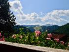 Ausblick vom Balkon Ausblick vom Balkon