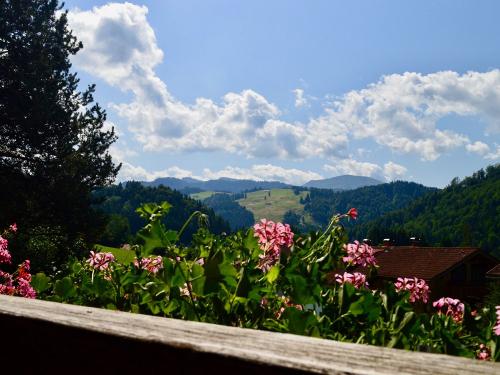 Ausblick vom Balkon Ausblick vom Balkon