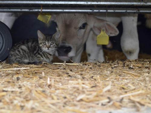 Ja, wer schaut denn da unten raus? Ja, wer schaut denn da unten raus?