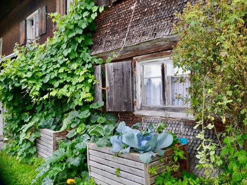 Unser Gemüsebeet Unser Gemüsebeet