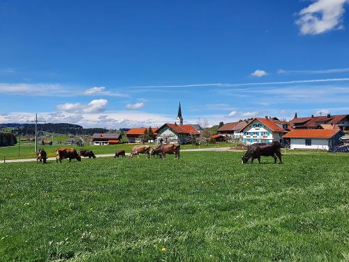 ferienhofinzell