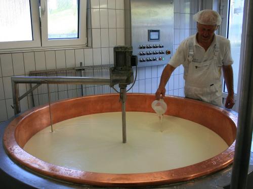 Eigene Hofkäserei mit Verkauf (Käse, Milch, Eier)
