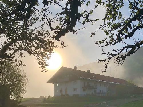 Bei uns in den Morgenstunden