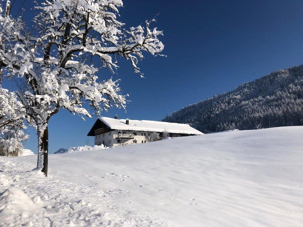Unser Hof im Winter