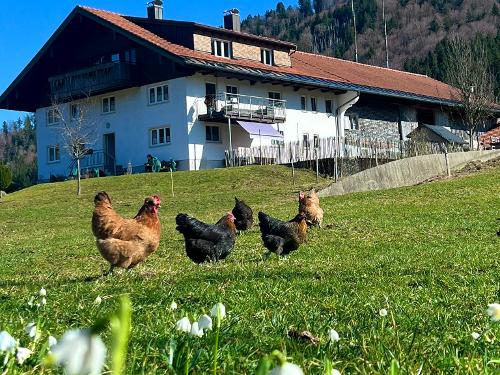 Ferienhof Rasch-Frühling Ferienhof Rasch-Frühling