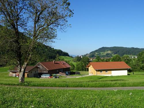 Finkennest