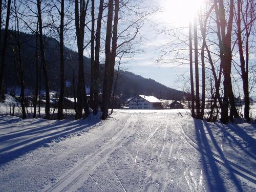 Das Weissachtal im Winter
