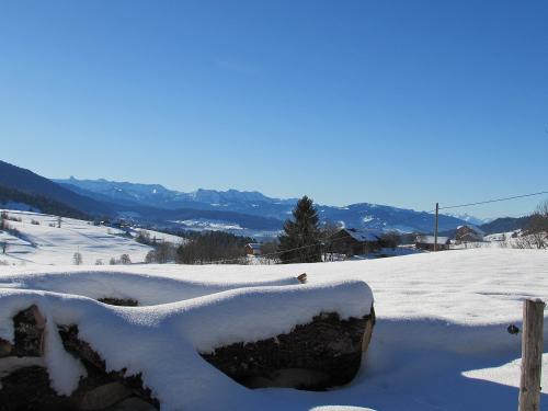 Winterimpression