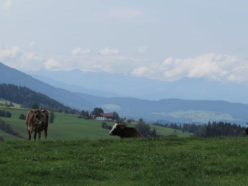 Entspannung pur
