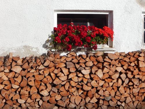 Holz vor der Hüttn