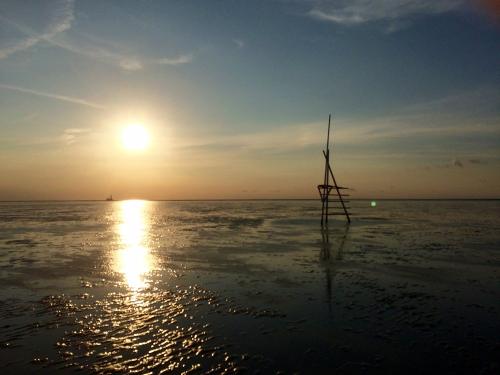 Watt Friedrichskoog