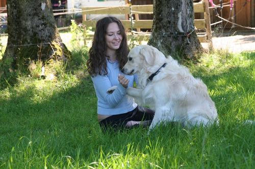 Urlaub mit Hund