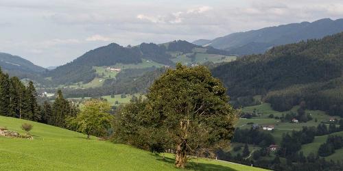 Urlaub in Oberstaufen