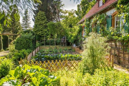 Gartenansicht