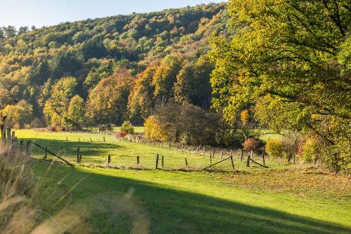 forstamt_herbst_143