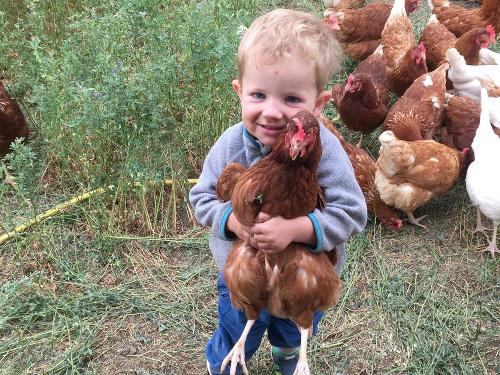 Junge kuschelt mit einem Huhn