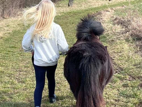 Pony führen