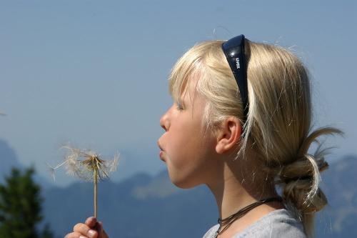 Drobn- am - Berg- mit - Pusteblume