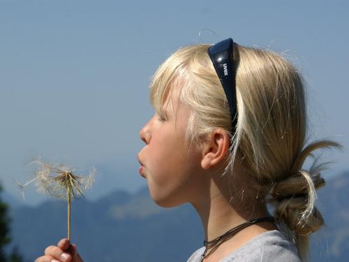 Drobn- am - Berg- mit - Pusteblume