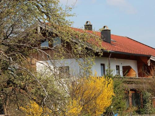 fruehling-fetznlebn-zuhaus