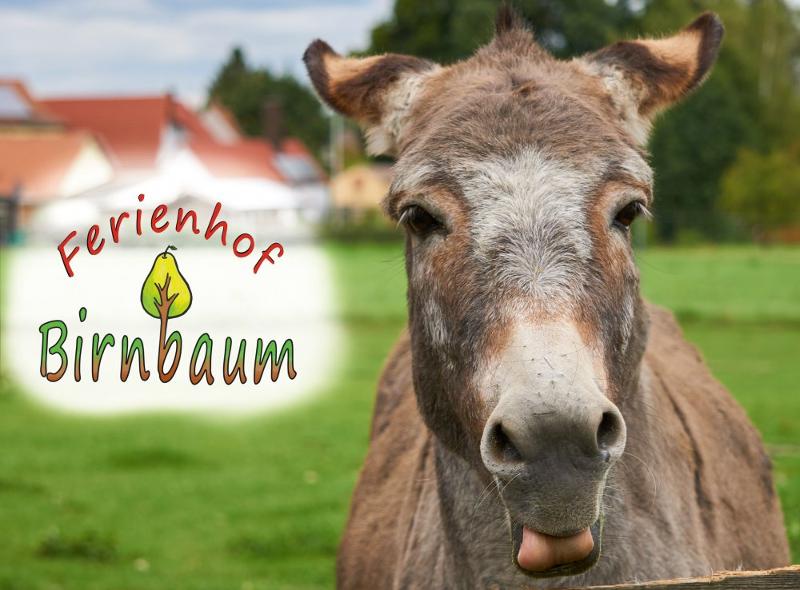 ferienof-birnbaumnalamitlogo